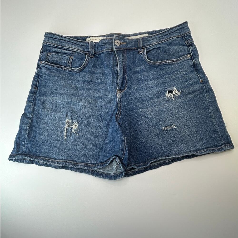 Pilcro & the Letterpress Slim Boyfriend Distressed Denim Shorts Women's 32